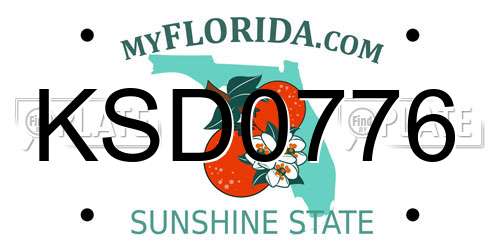 KSD0776 Florida License Plate