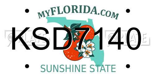 KSD7140 Florida License Plate