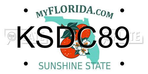 KSDC89 Florida License Plate