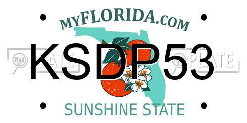 KSDP53 Florida License Plate