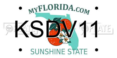 KSDV11 Florida License Plate