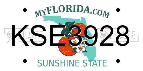 KSE3928 Florida License Plate