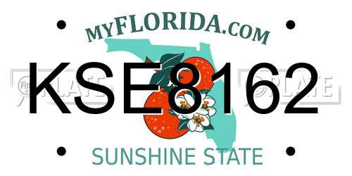 KSE8162 Florida License Plate