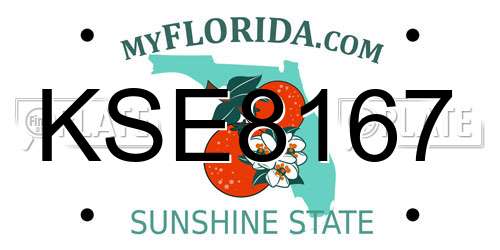 KSE8167 Florida License Plate
