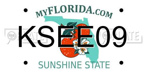 KSEE09 Florida License Plate