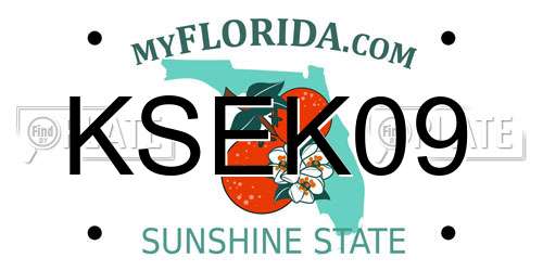 KSEK09 Florida License Plate