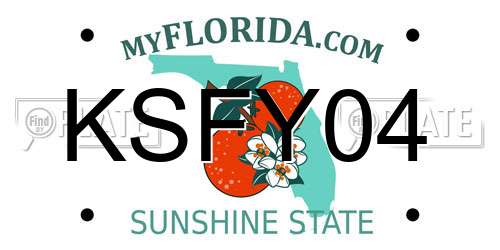 KSFY04 Florida License Plate