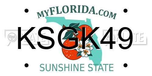 KSGK49 Florida License Plate