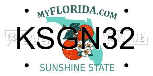 KSGN32 Florida License Plate