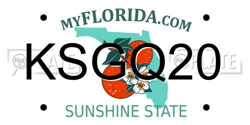 KSGQ20 Florida License Plate