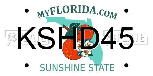 KSHD45 Florida License Plate
