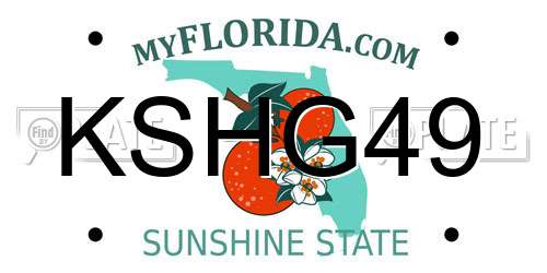 KSHG49 Florida License Plate