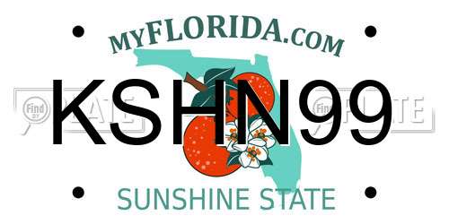 KSHN99 Florida License Plate