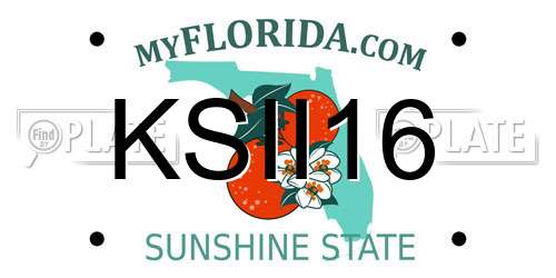 KSII16 Florida License Plate