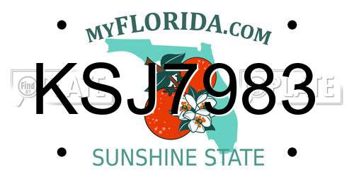 KSJ7983 Florida License Plate