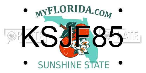 KSJF85 Florida License Plate