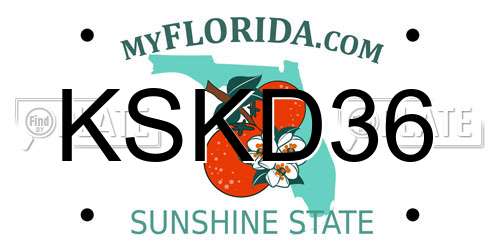KSKD36 Florida License Plate