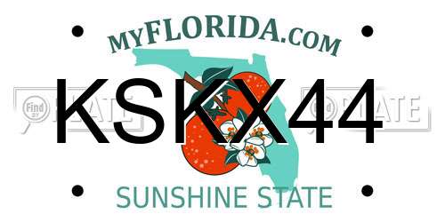 KSKX44 Florida License Plate