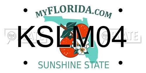KSLM04 Florida License Plate