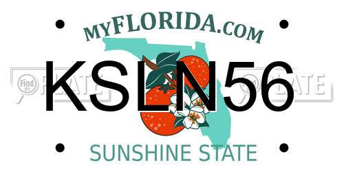 KSLN56 Florida License Plate