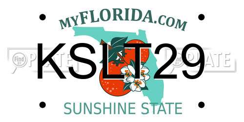 KSLT29 Florida License Plate