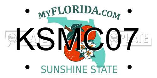 KSMC07 Florida License Plate