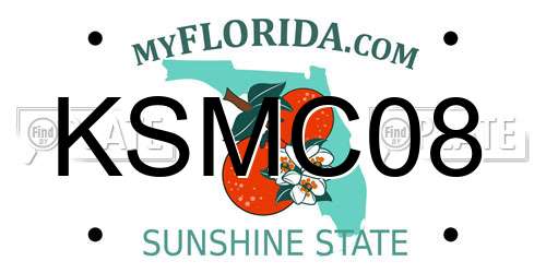 KSMC08 Florida License Plate