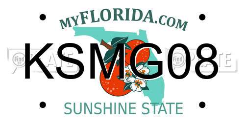 KSMG08 Florida License Plate