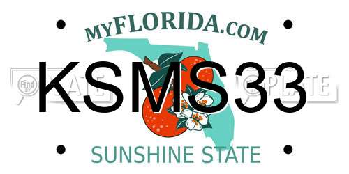 KSMS33 Florida License Plate