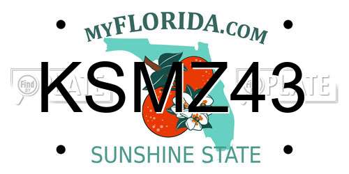KSMZ43 Florida License Plate