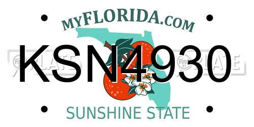KSN4930 Florida License Plate