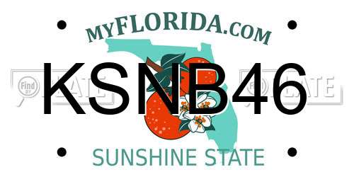 KSNB46 Florida License Plate