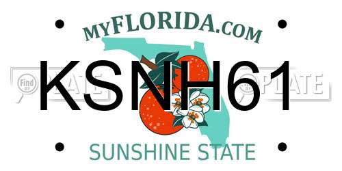 KSNH61 Florida License Plate