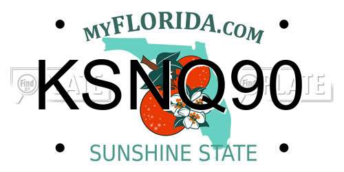 KSNQ90 Florida License Plate