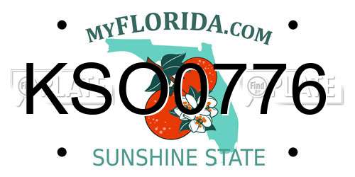 KSO0776 Florida License Plate