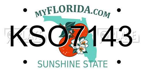KSO7143 Florida License Plate