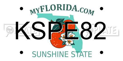 KSPE82 Florida License Plate
