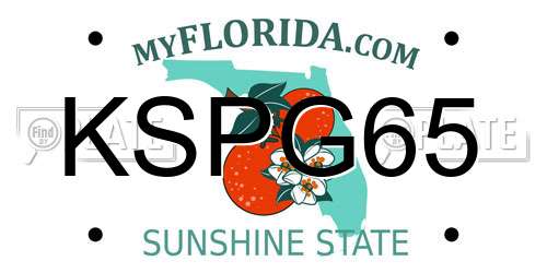 KSPG65 Florida License Plate