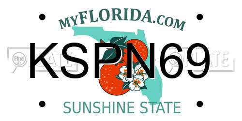 KSPN69 Florida License Plate