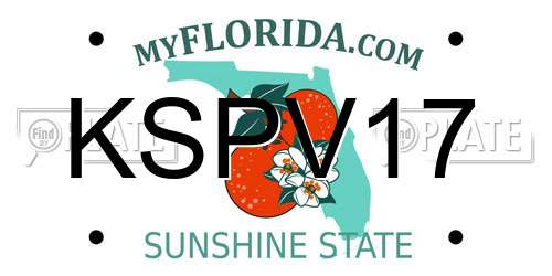KSPV17 Florida License Plate