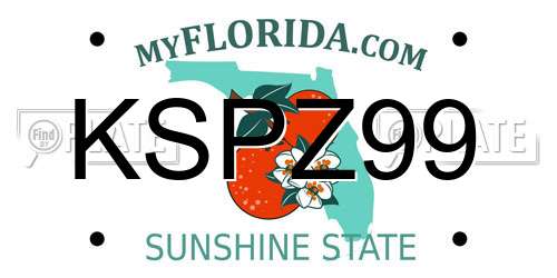 KSPZ99 Florida License Plate
