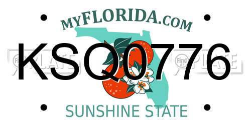 KSQ0776 Florida License Plate