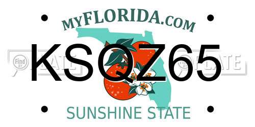 KSQZ65 Florida License Plate