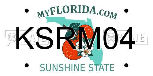 KSRM04 Florida License Plate