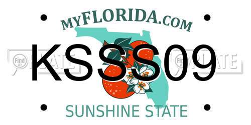 KSSS09 Florida License Plate