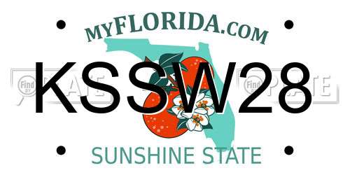 KSSW28 Florida License Plate