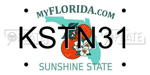 KSTN31 Florida License Plate