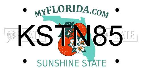 KSTN85 Florida License Plate
