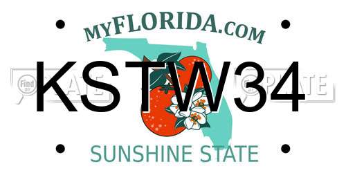 KSTW34 Florida License Plate