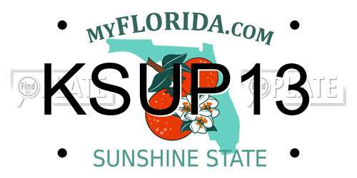 KSUP13 Florida License Plate